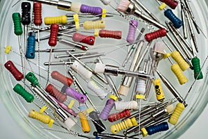 Endodontic Equipment in Petri dish glass closeup