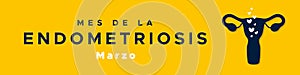 Endometriosis Awareness Month in Spanish: Mes de la Endometriosis. Marzo. Female reproductive system silhouette. Horizontal banner photo