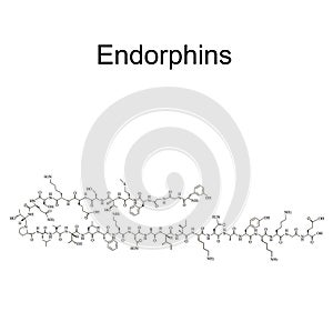 Endorphins hormone. Mood hormone endorphins molecular chemical formula. Vector illustration