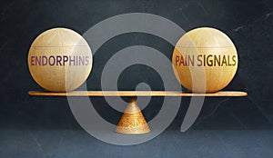 Endorphins and Pain signals in balance - a metaphor showing the importance of two aspects of life staying in equilibrium photo