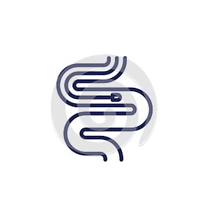 endoscopy procedure line icon on white