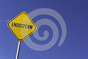 endosperm - yellow sign with blue sky background