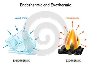 Endothermic and Exothermic chemical reactions photo