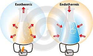 Endothermic and Exothermic Reactions