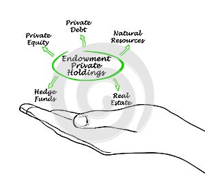 Endowment Private Holdings