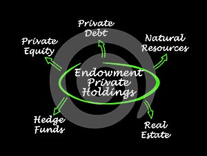 Endowment Private Holdings