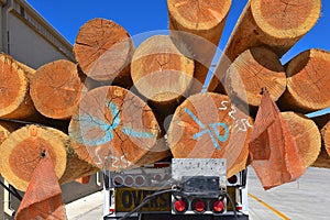Ends of fir log poles extended over a truck trailer