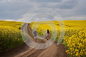 Endurance runners on a dirt track in a canola field, training