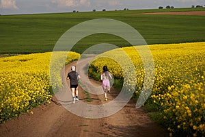 Endurance runners on a dirt track in a canola field, training