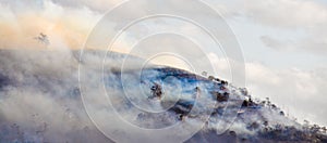 Enduring the Flames.