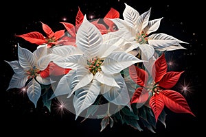 Enduring Star Bethlehem poinsettia. Generate ai photo