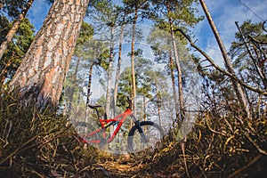 Enduro MTB on a singletrack