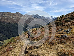 Enduro Trail Ride At Davos Jakobshorn, Swiss Mountains Alps, Sport bicycle at trail path on the mountain at autumn time