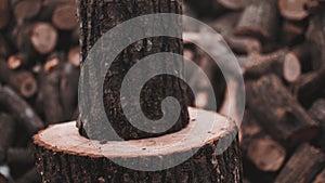 Energetic close up footage of chopping wood with rusty ax