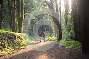 Energetic man and woman jogging in forest