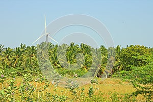 Energy alternatives 6. Wind farm in Indian province of Kerala.