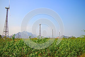 Energy alternatives 6. Wind farm in Indian province of Kerala.