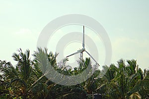 Energy alternatives 6. Wind farm in Indian province of Kerala.