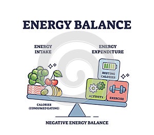 Energy balance with calories intake and daily expenditure outline diagram
