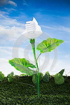 Energy concept, earth friendly light bulb plant