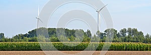 Energy conceptual image. Windmill on yellow field in summer.