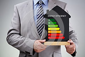 Energy efficiency in the home