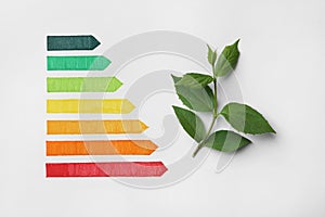 Energy efficiency rating chart and green leaves on white background