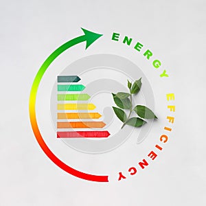 Energy efficiency rating and green leaves on light background