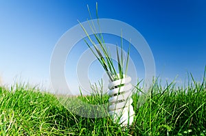 Energy-efficient bulb in green grass