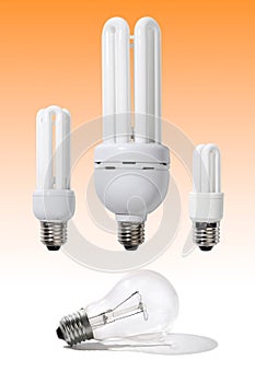 Energy Efficient Light Bulbs