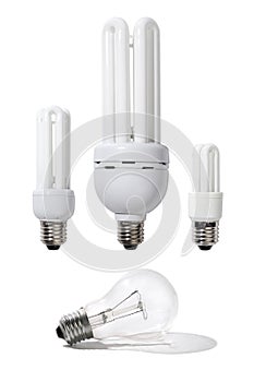 Energy Efficient Light Bulbs