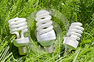 Energy efficient light bulbs