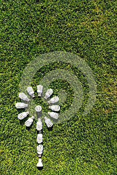 Energy efficient light bulbs on green grass