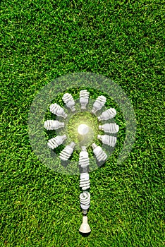 Energy efficient light bulbs on green grass
