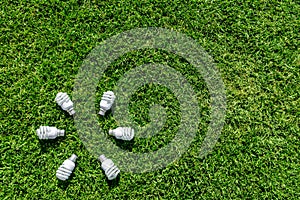 Energy efficient light bulbs on green grass