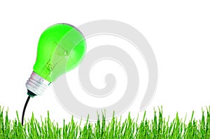 Energy green bulb