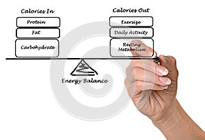 Energy intake and Energy expenditure