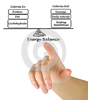 Energy intake and Energy expenditure