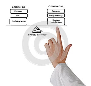 Energy intake and Energy expenditure