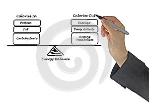 Energy intake and Energy expenditure