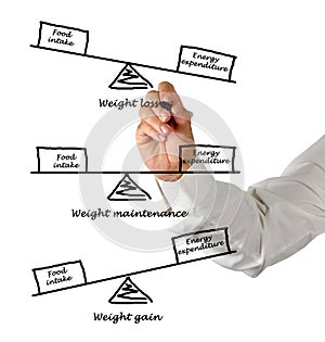 Energy intake and Energy expenditure photo