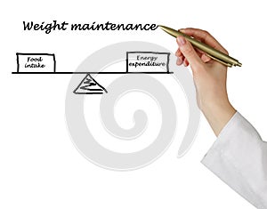 Energy intake and Energy expenditure