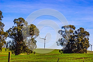 Energy Producing Three Bladed Windmills