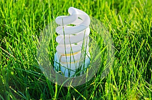 Energy saving bulb in grass