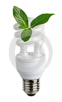 Energy saving compact fluorescent lamp