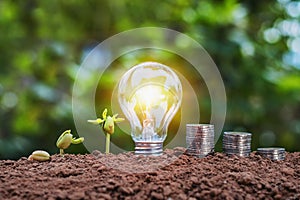 energy saving concept lightbulb with plant growing and money sta