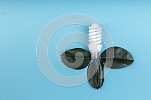 Energy-saving fluorescent lamp with green leaf, ECO energy concept, Mixed media. Isolated, place for caption and text