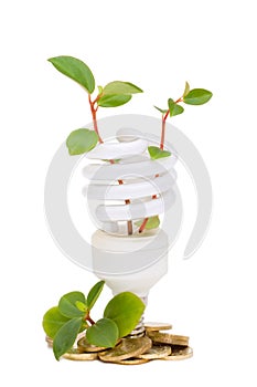 Energy saving lamp with green seedling