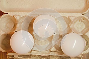 Energy saving lamps in eggs package