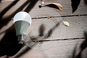 Energy saving LED BULB ECO With the environment.